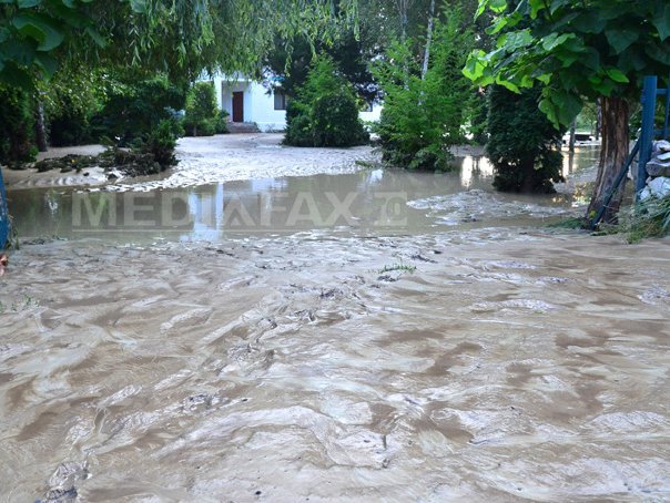 inundatii gilort 8 bogdan danescu