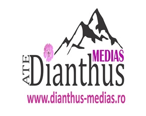 Un nou proiect depus spre finanţare de Dianthus-Mediaş,”Tineri pentru viitorul Mediaşului”