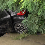 vlcsnap 2014 08 17 12h35m16s241