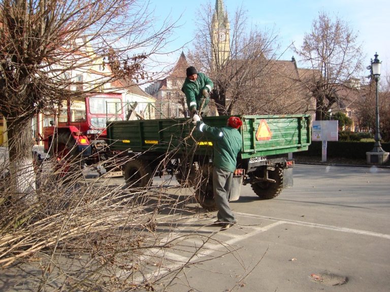 campanie curatenie toamna medias 2