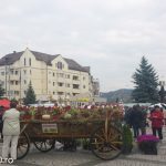 Ziua Recoltei Medias 2014 12 of 19