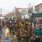 Ziua Recoltei Medias 2014 15 of 19