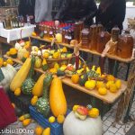 Ziua Recoltei Medias 2014 17 of 19