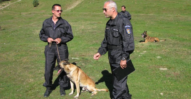 Legislația din România permite introducerea modulelor cu animale vii în școli