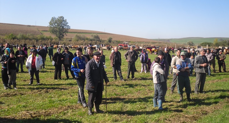 FOTO: Recolta anului 2014 și o expoziție Agro-Zootehnică, marcate la Blăjel
