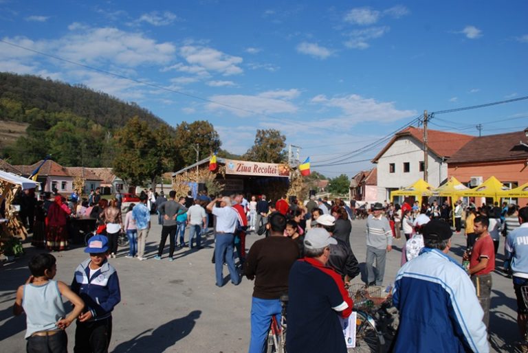 FOTO: Standuri îmbelșugate la Tîrnava, de Ziua Recoltei