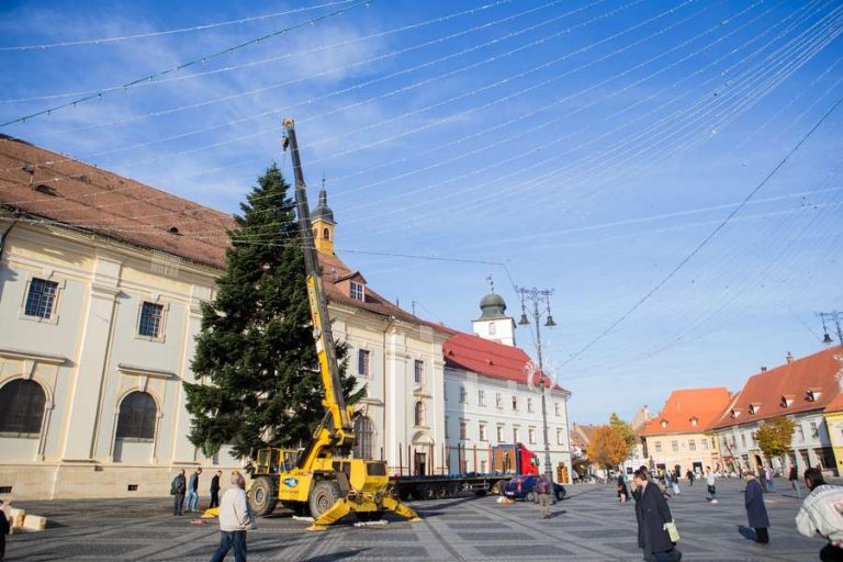Bradul de Crăciun a fost adus în Piața Mare. Pregătiri pentru Târgul de Crăciun
