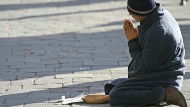 campanie cersetorie medias 2