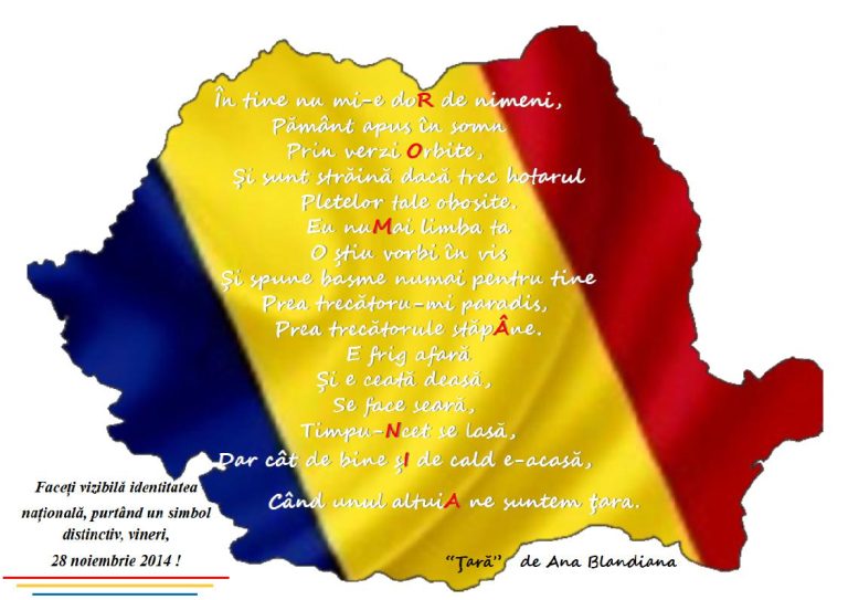 Tricolorul în eprubetă și flash-mob la Colegiul Naţional „Octavian Goga”