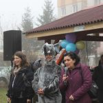 inspector director gradinita site