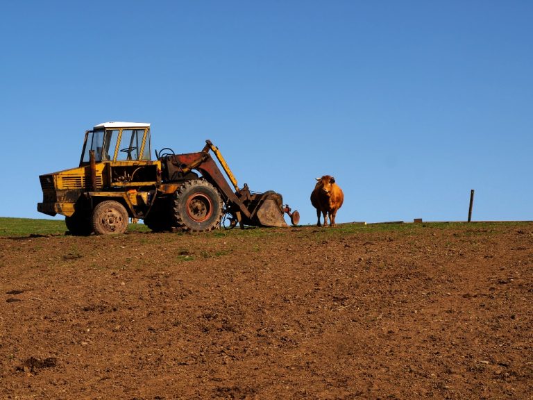 Registru Agricol Electronic, în alte 15 primării din județ