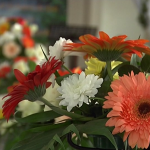 vlcsnap 2014 11 09 17h57m35s201