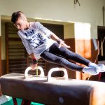 Raul Tonca Cal Cu Manere