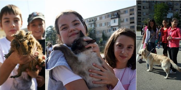 Workshop: Lecții de biologie cu animale vii