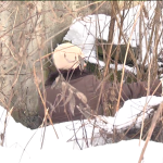 vlcsnap 2015 01 15 19h43m24s191