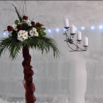 vlcsnap 2015 01 22 16h18m59s141