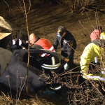 vlcsnap 2015 01 28 22h08m31s174