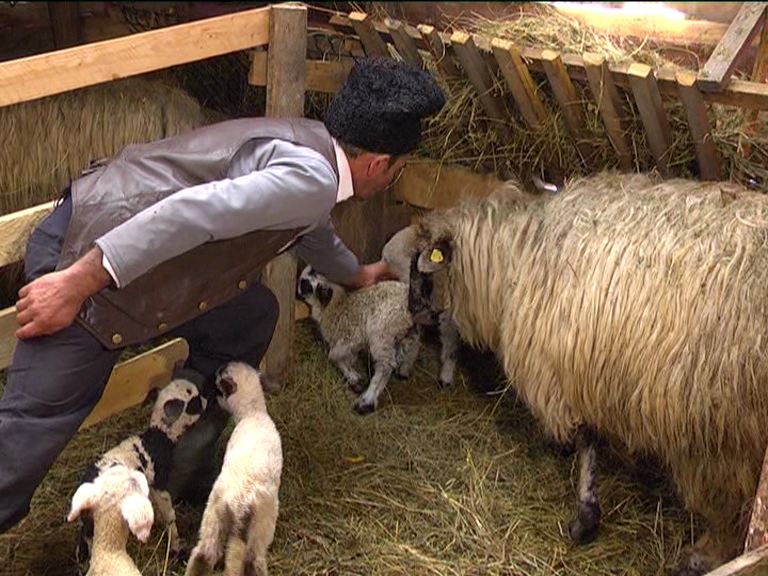 vlcsnap 2015 02 18 17h45m42s108