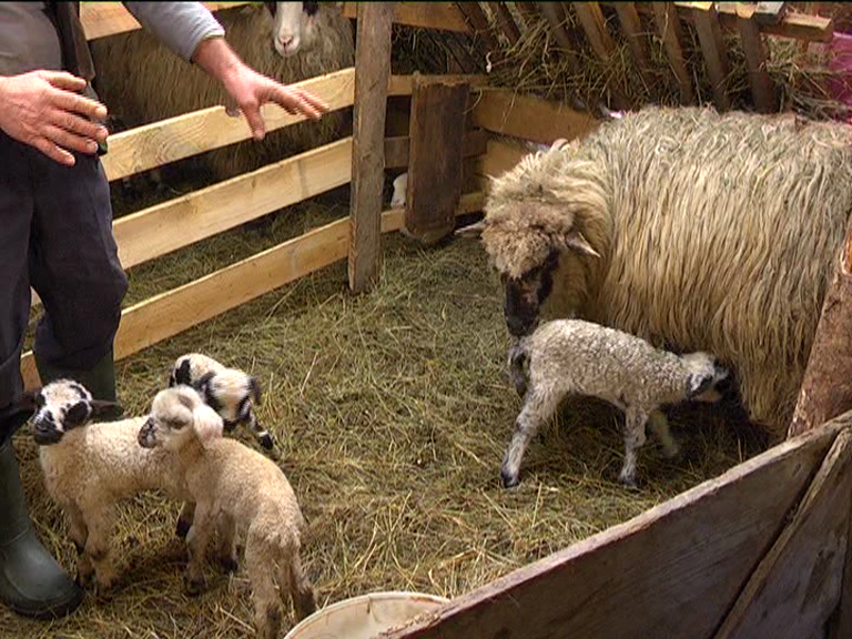 vlcsnap 2015 02 18 17h45m54s238