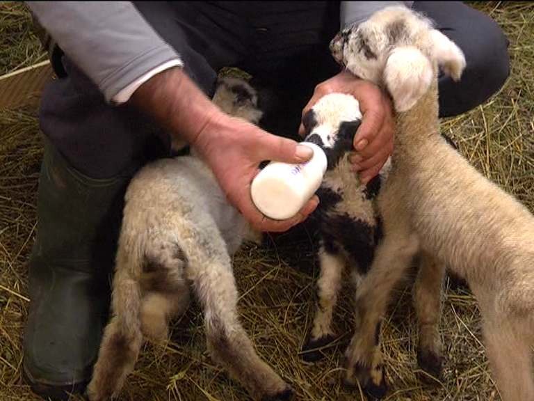 vlcsnap 2015 02 18 17h46m13s176