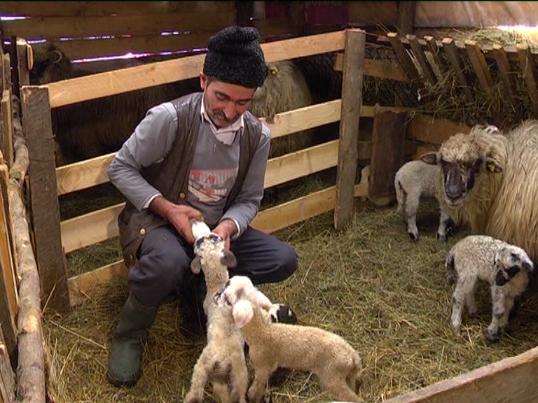 vlcsnap 2015 02 18 17h46m38s170