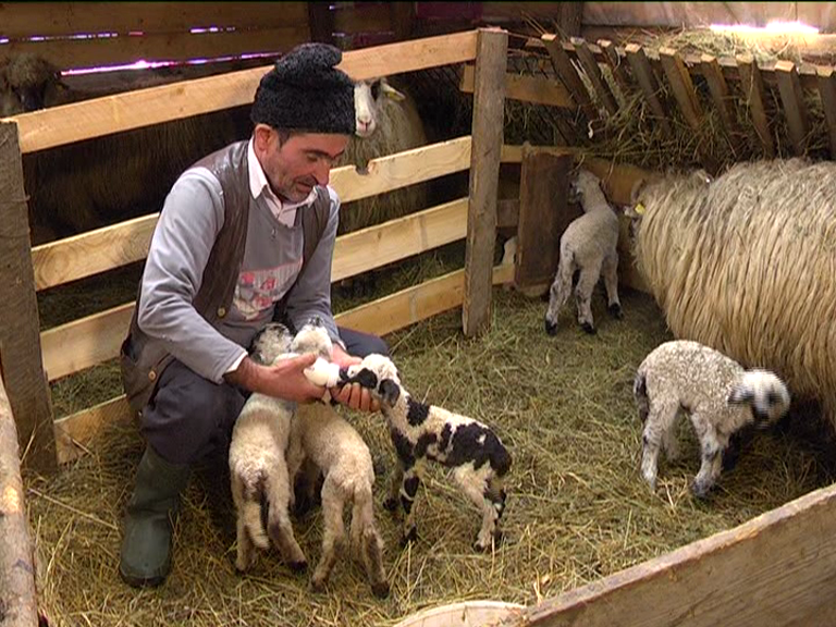 vlcsnap 2015 02 18 17h46m52s56