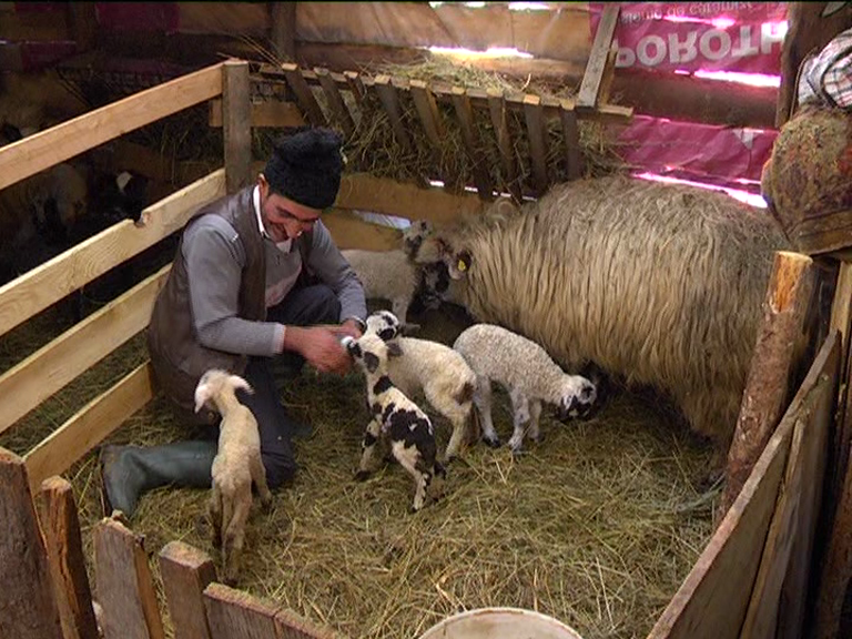 vlcsnap 2015 02 18 17h47m32s179