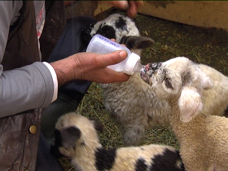 vlcsnap 2015 02 18 17h47m51s127