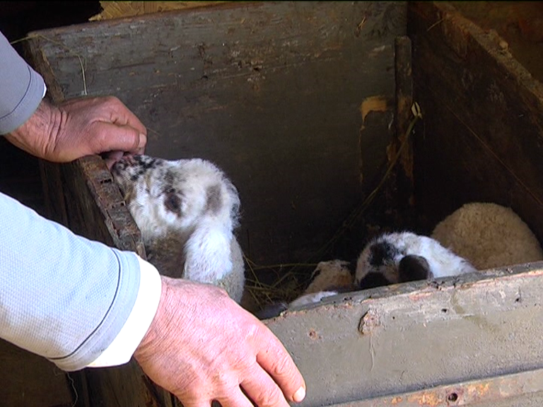 vlcsnap 2015 02 18 17h48m53s220