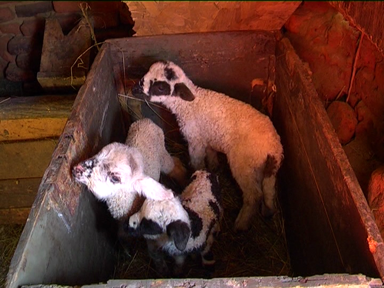 vlcsnap 2015 02 18 17h49m14s199