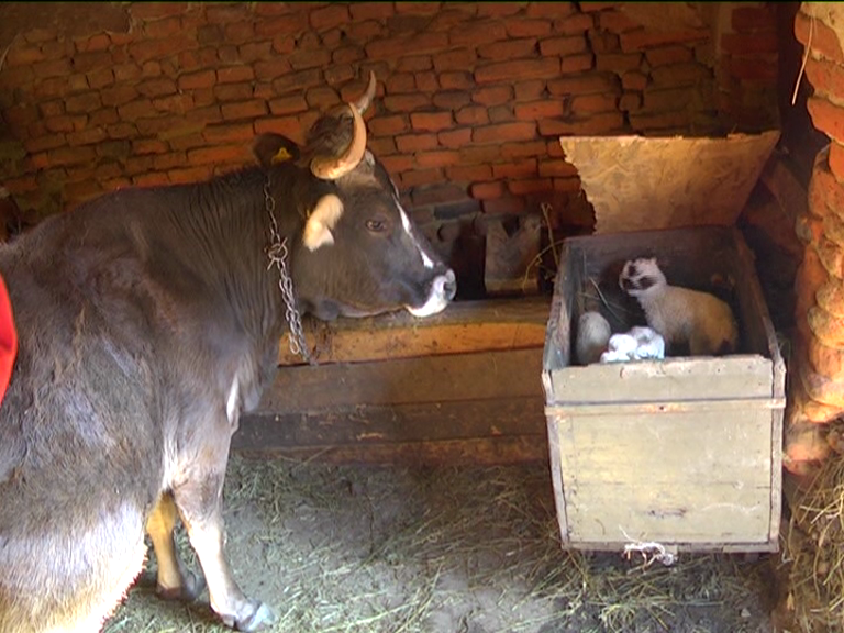 vlcsnap 2015 02 18 17h49m28s70