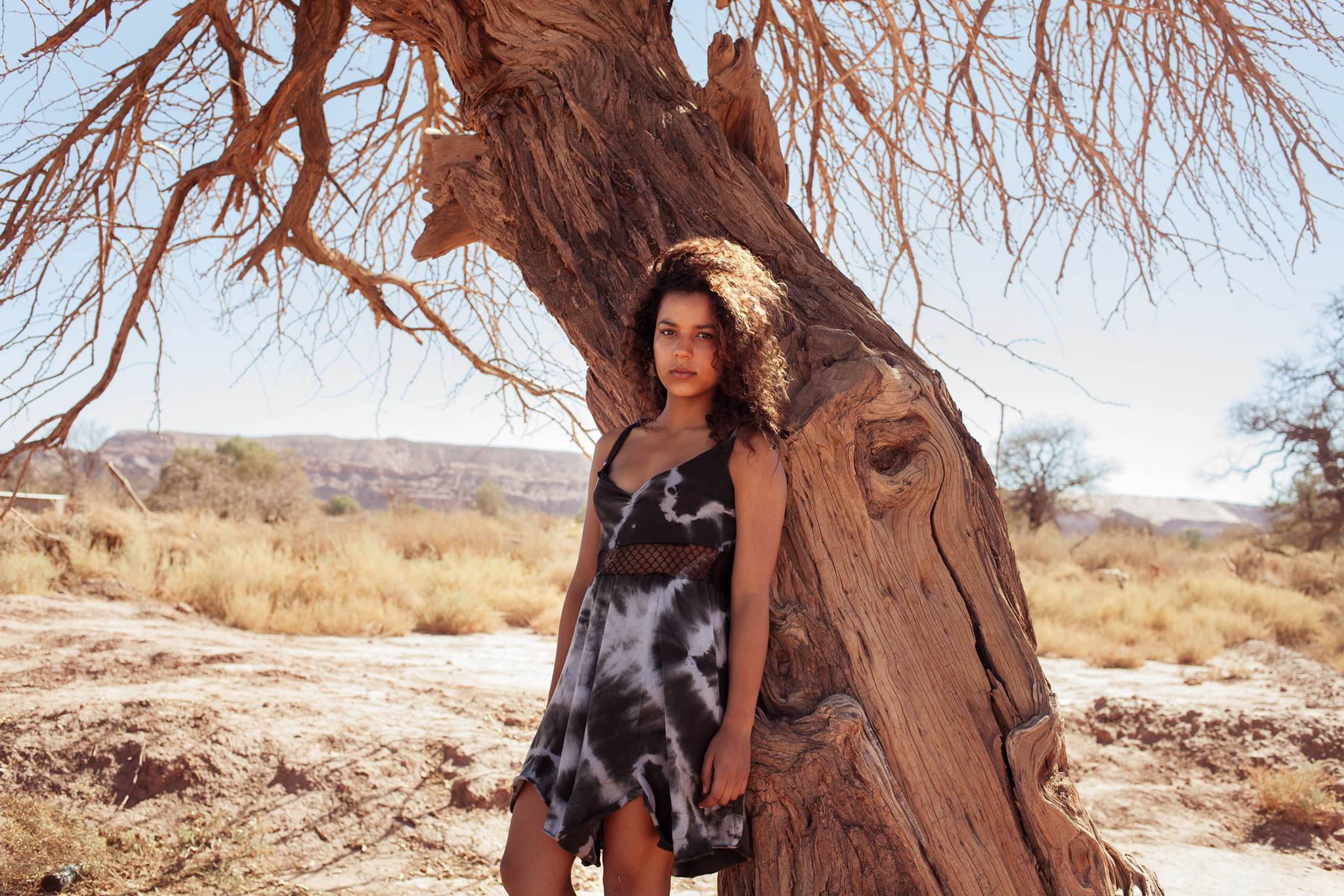 10931567 848923341815728 3192219047993587890 o