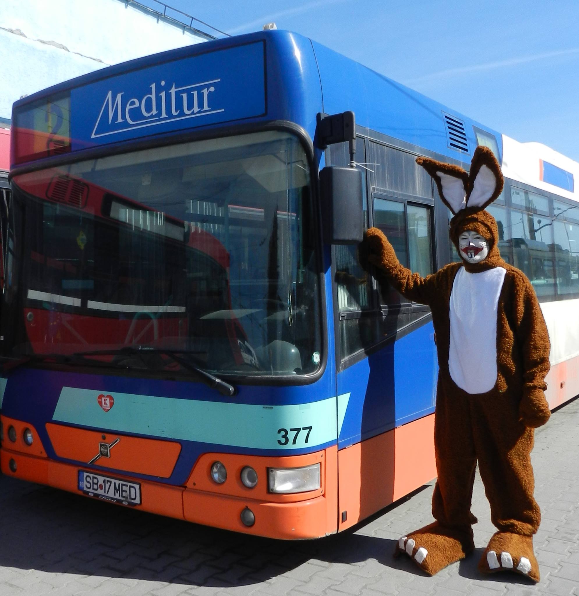 Autobuzele din Mediaș „îmbracă” haine de sărbătoare