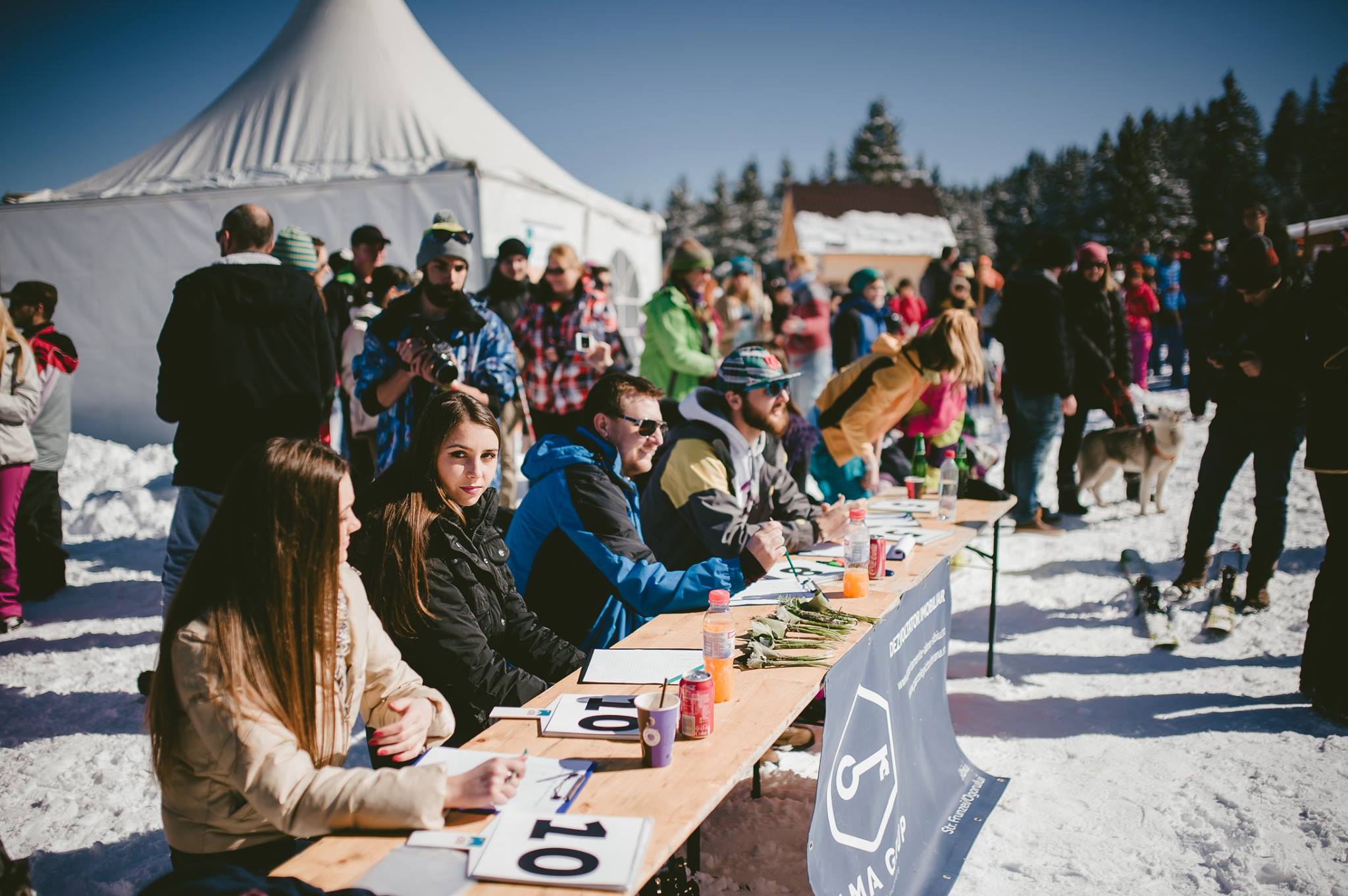 1556224 786451504776381 2805540277113478387 o