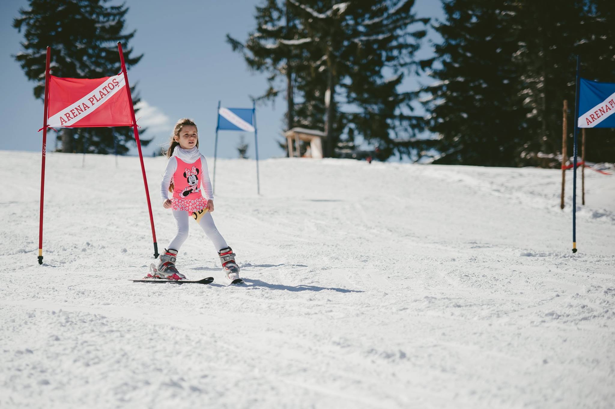 1939920 786451061443092 5405545401483078167 o