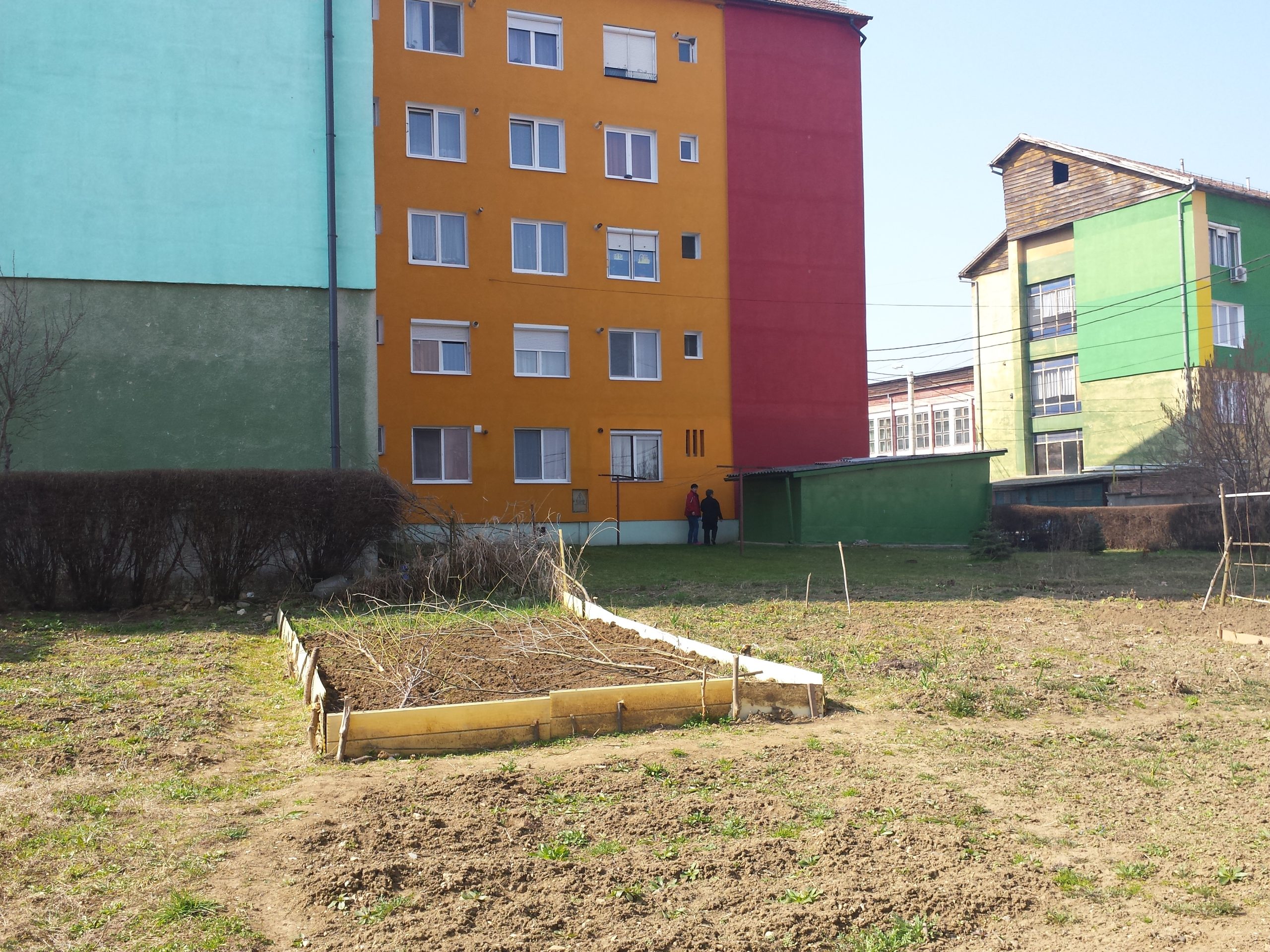 FOTO: „Agricultură” între două blocuri din Mediaș, pe spațiul public