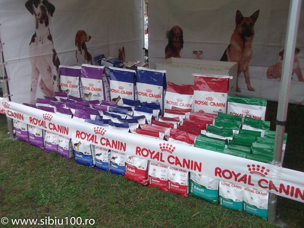 Expozitie canina Medias 2015 11