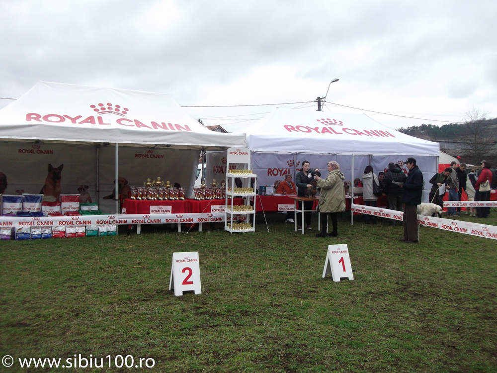 Expozitie canina Medias 2015 8