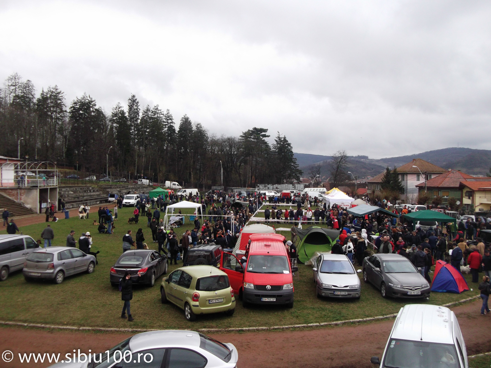 Expozitie canina Medias 2015