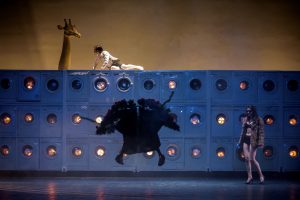 Foto TNRS Girafe Paul Baila