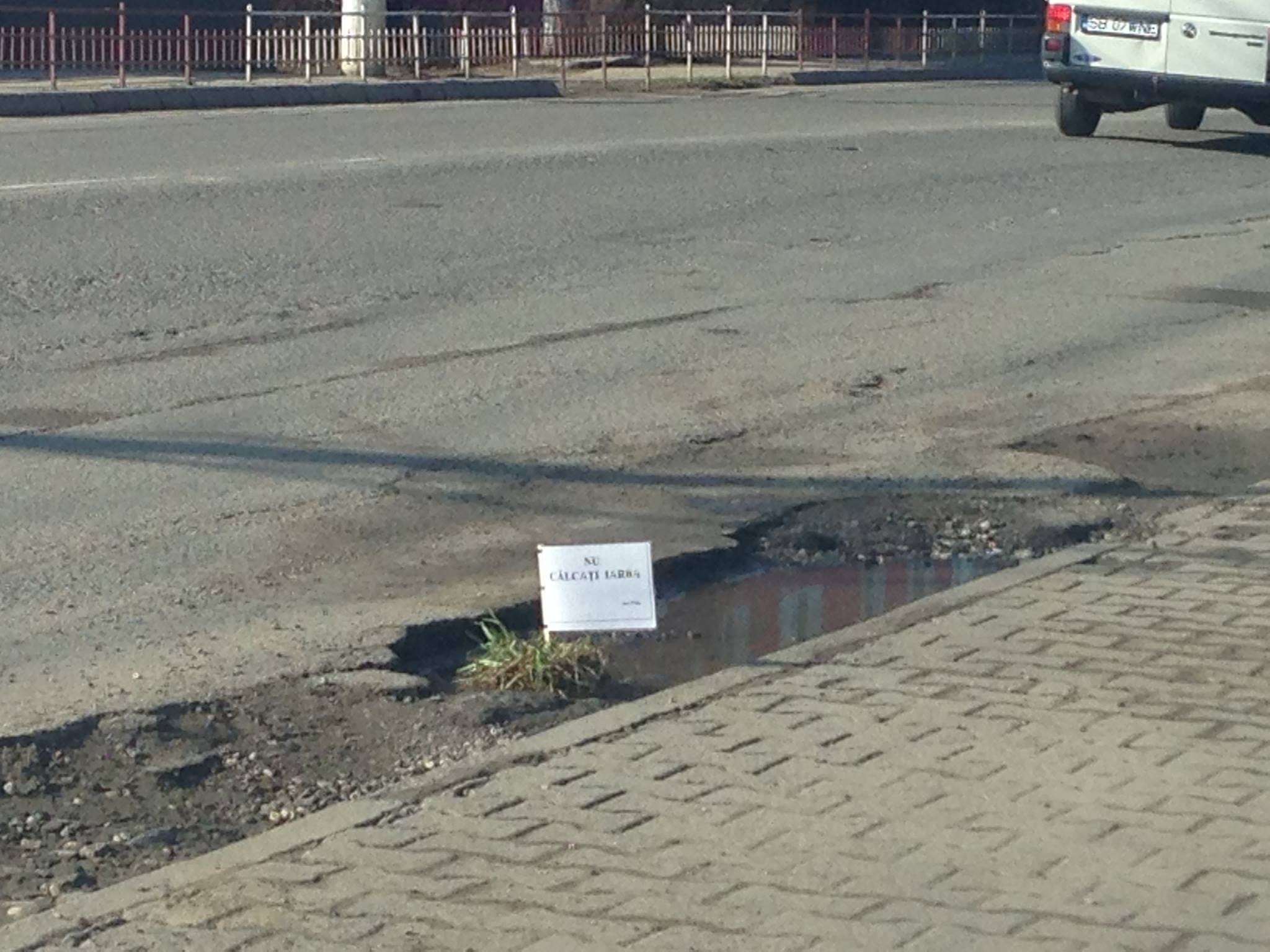 gropi cu iarba la medias