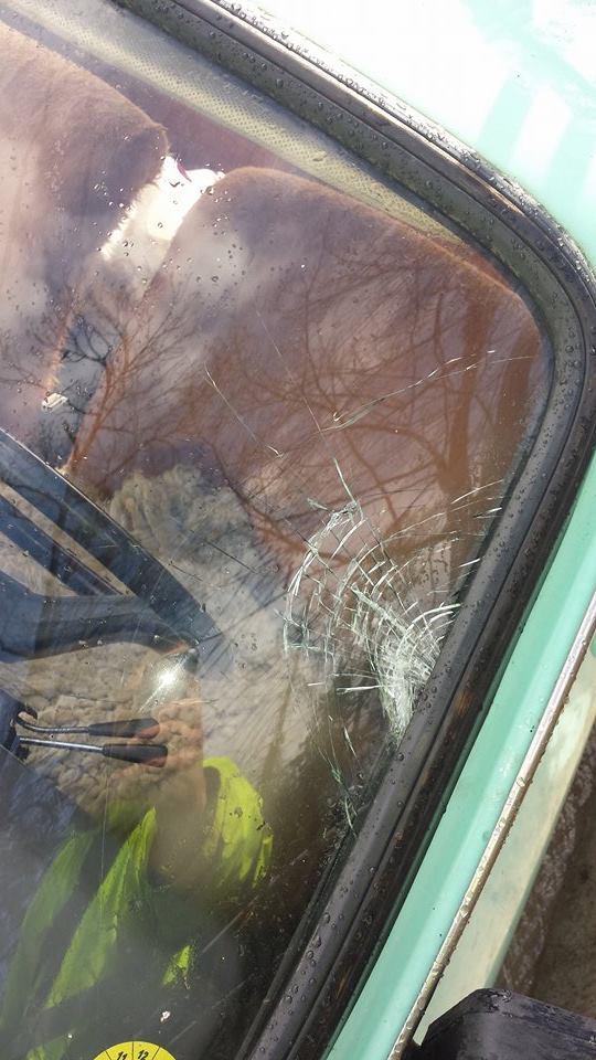 11095087 822165044497456 431866639 n