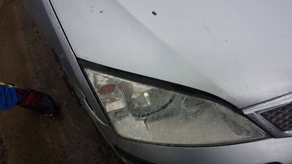 11117454 822165144497446 2099730172 n