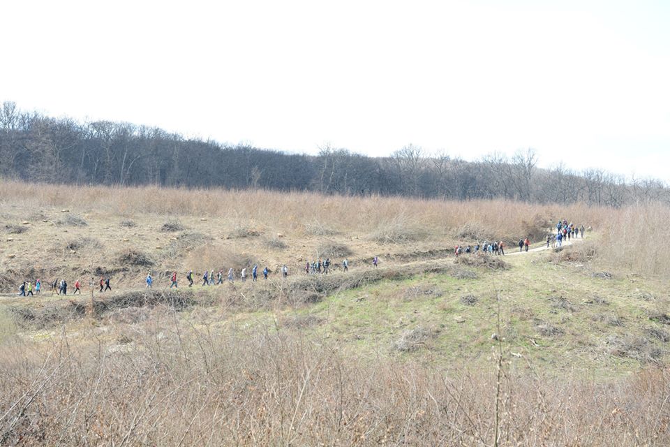 11140353 559361820833867 3197006218183976171 n