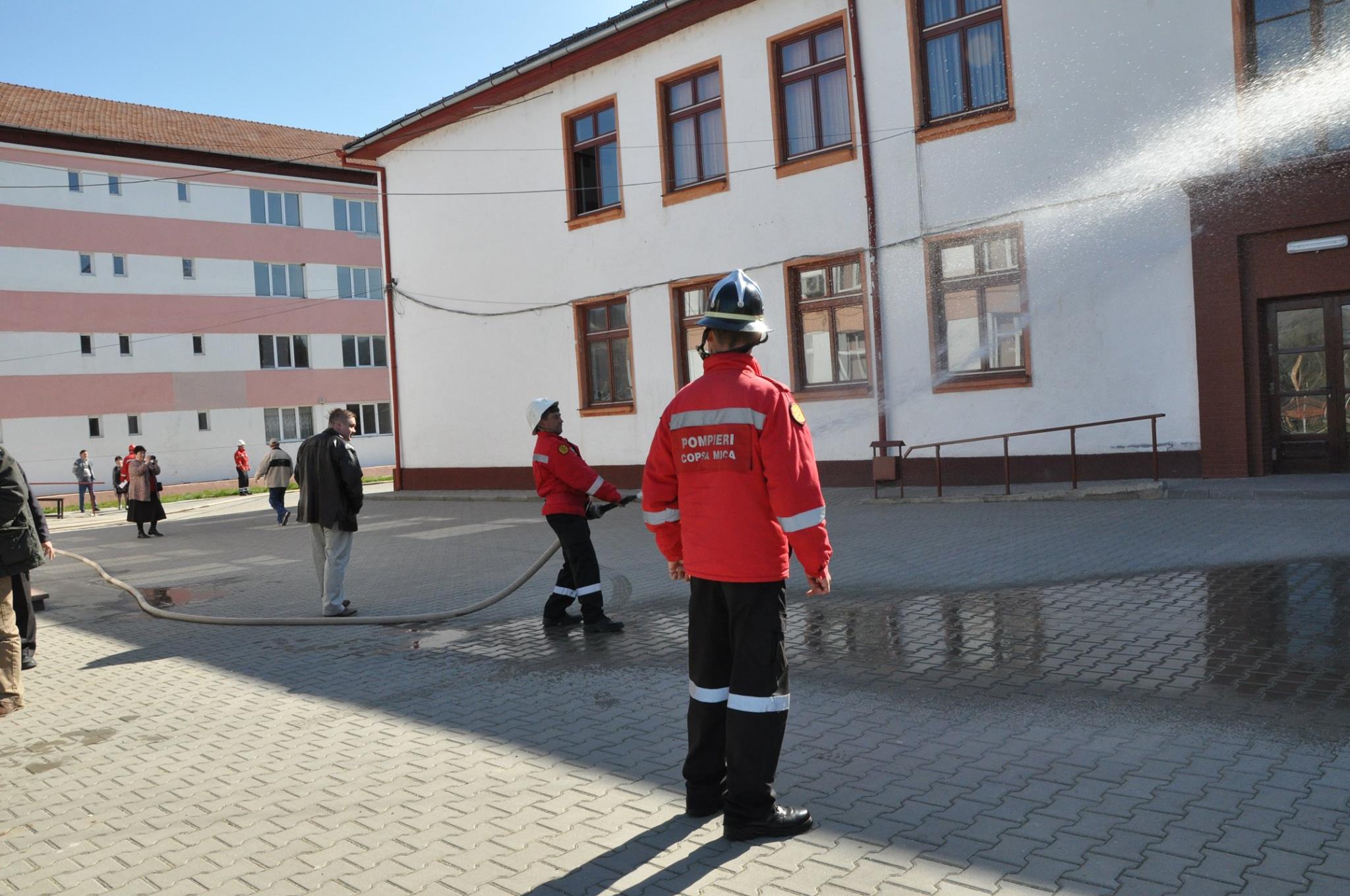 11160626 975498719129702 6808240308705404603 o