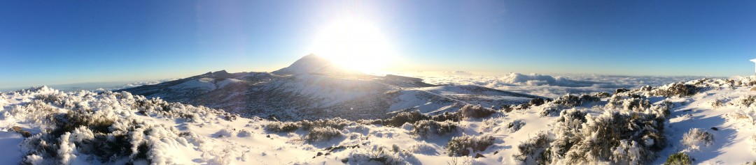 IMG 0714 e1429105748221