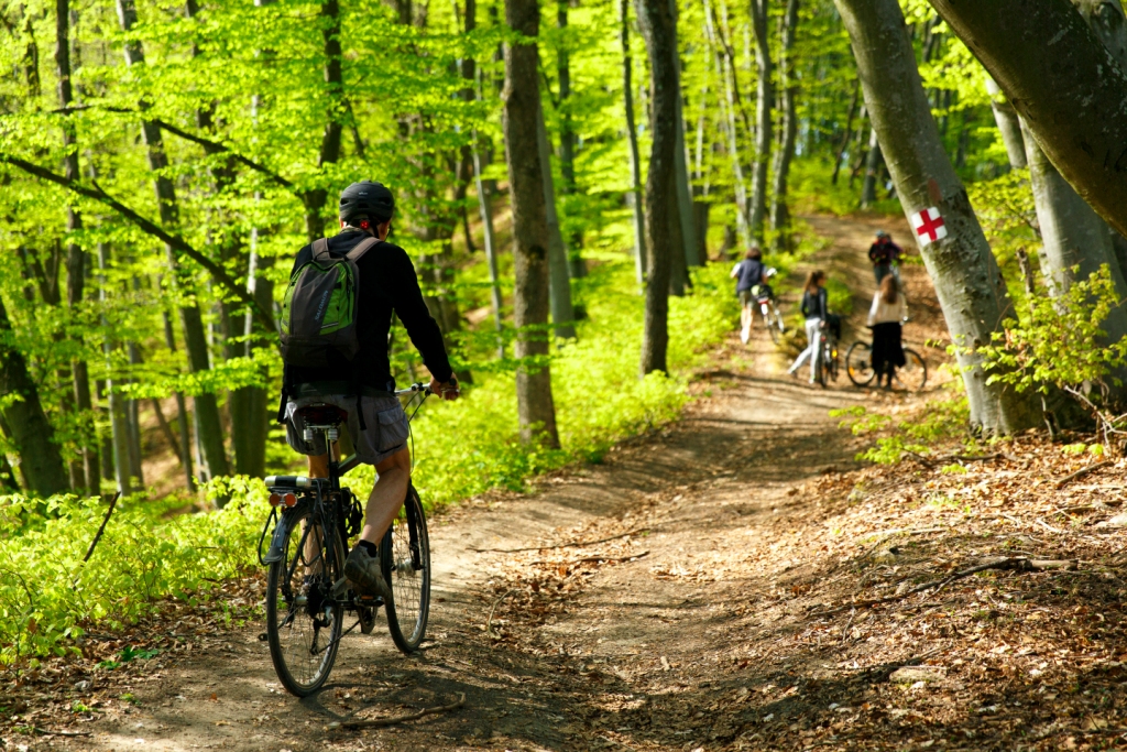 26 de sate din Transilvania beneficiază de un total de 229 km de trasee de bicicletă și drumeție