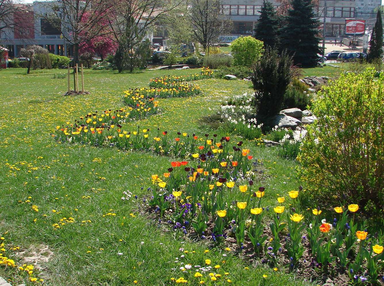flori site