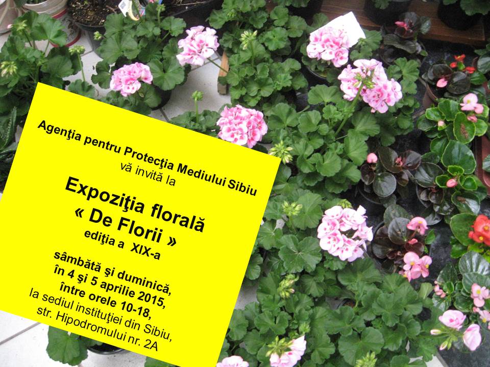 Expoziție de flori, de Florii