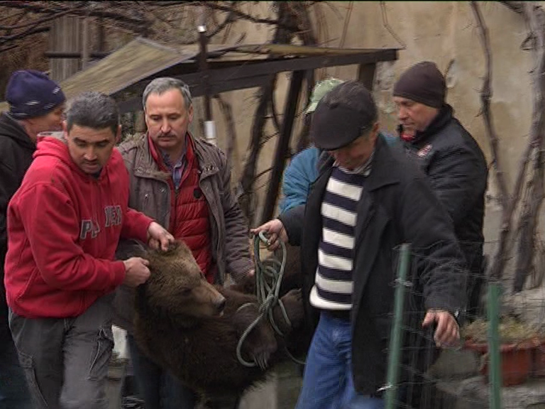 vlcsnap 2015 04 06 13h53m37s13